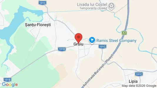 Houses for rent i Gruiu - kort over placeringen