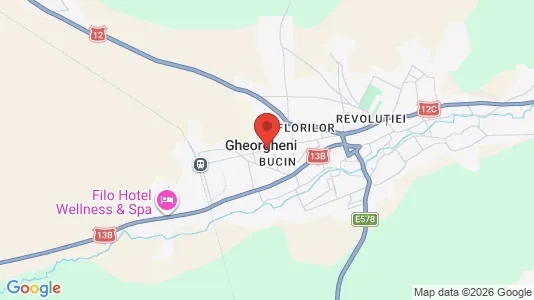 Apartments for rent i Gheorgheni - kort over placeringen