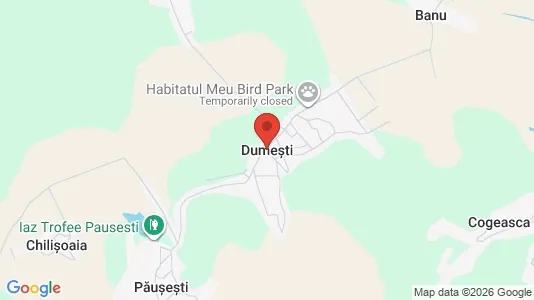 Houses for rent i Dumeşti - kort over placeringen