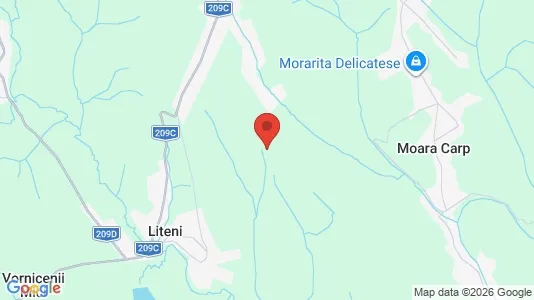 Houses for rent i Moara - kort over placeringen
