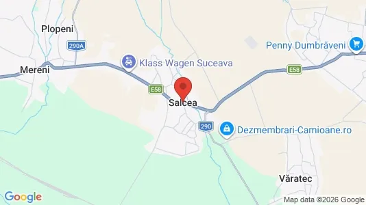 Houses for rent i Salcea - kort over placeringen