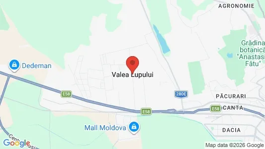 Houses for rent i Valea Lupului - kort over placeringen