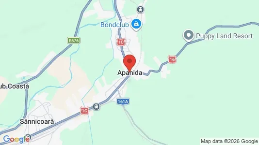 Houses for rent i Apahida - kort over placeringen