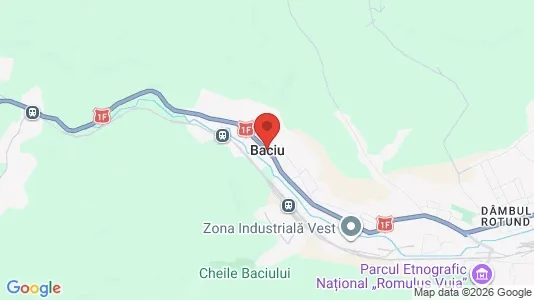 Houses for rent i Baciu - kort over placeringen