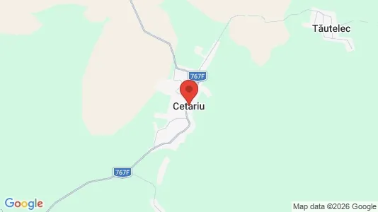 Houses for rent i Cetariu - kort over placeringen