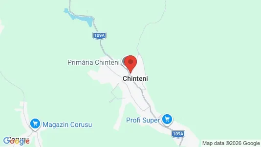 Houses for rent i Chinteni - kort over placeringen