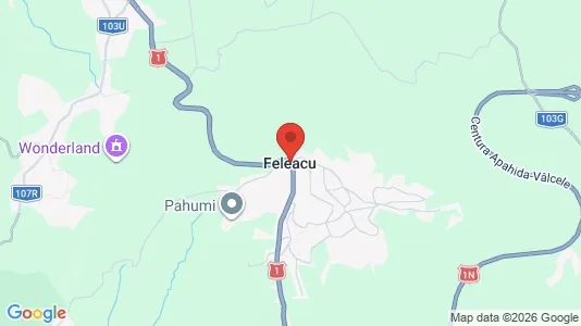 Houses for rent i Feleacu - kort over placeringen