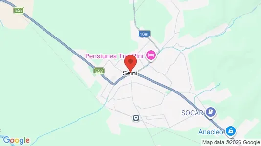 Apartments for rent i Seini - kort over placeringen