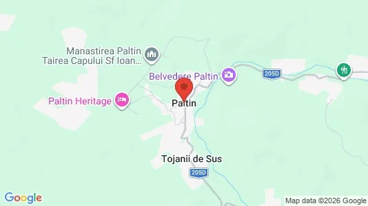 Apartments for rent i Paltin - kort over placeringen