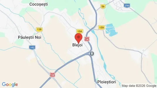 Houses for rent i Blejoi - kort over placeringen