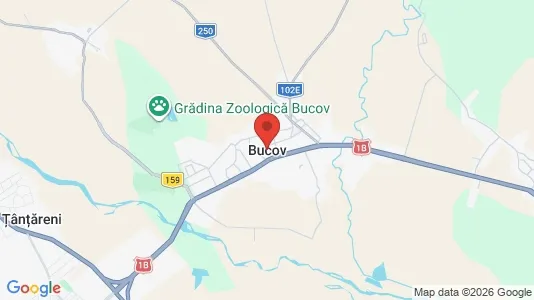 Houses for rent i Bucov - kort over placeringen