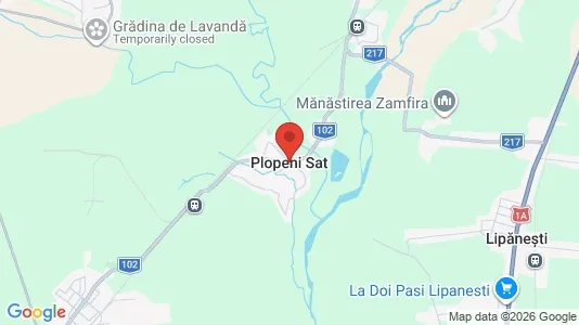 Houses for rent i Plopeni - kort over placeringen