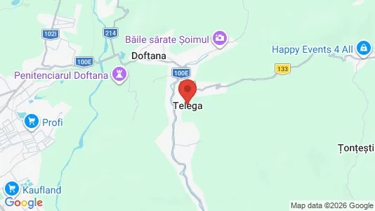 Houses for rent i Telega - kort over placeringen