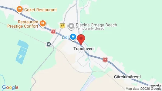 Houses for rent i Topoloveni - kort over placeringen