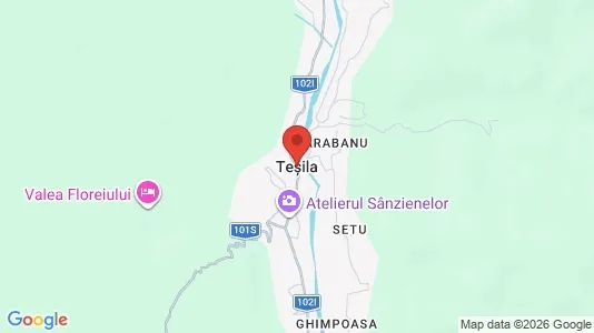 Houses for rent i Valea Doftanei - kort over placeringen