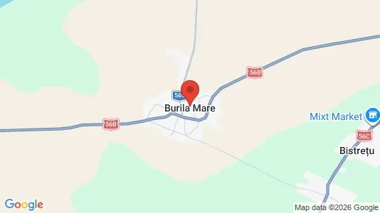 Houses for rent i Burila Mare - kort over placeringen