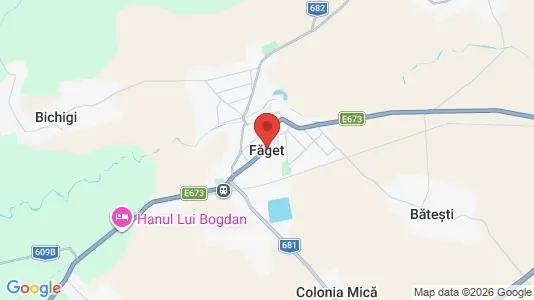 Houses for rent i Făget - kort over placeringen