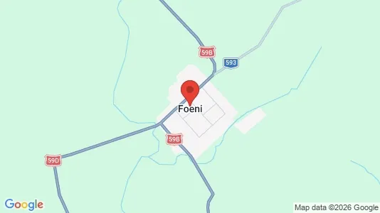 Apartments for rent i Foeni - kort over placeringen