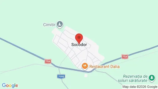 Houses for rent i Socodor - kort over placeringen