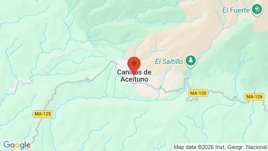Apartments for rent i Canillas de Aceituno - kort over placeringen