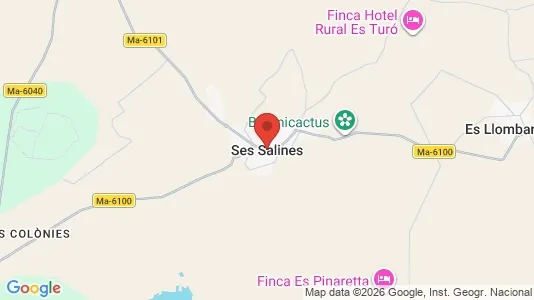 Houses for rent i Ses Salines - kort over placeringen